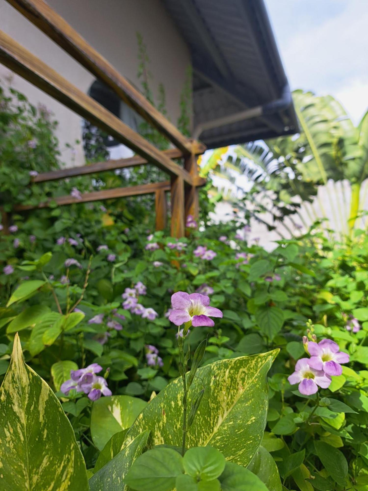 Golden Lotus Spa & Homestay Ap Thien Phuoc Exterior photo