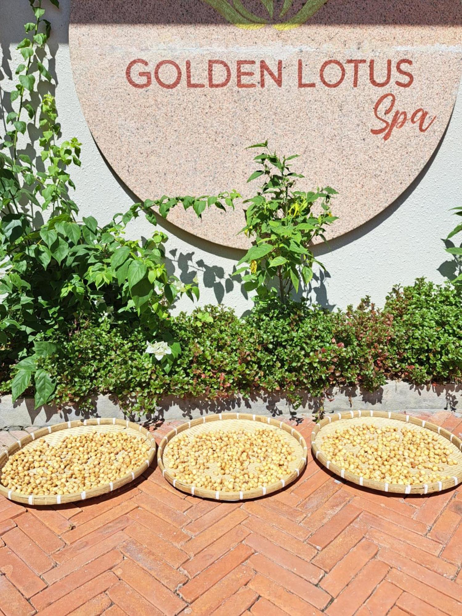 Golden Lotus Spa & Homestay Ap Thien Phuoc Exterior photo
